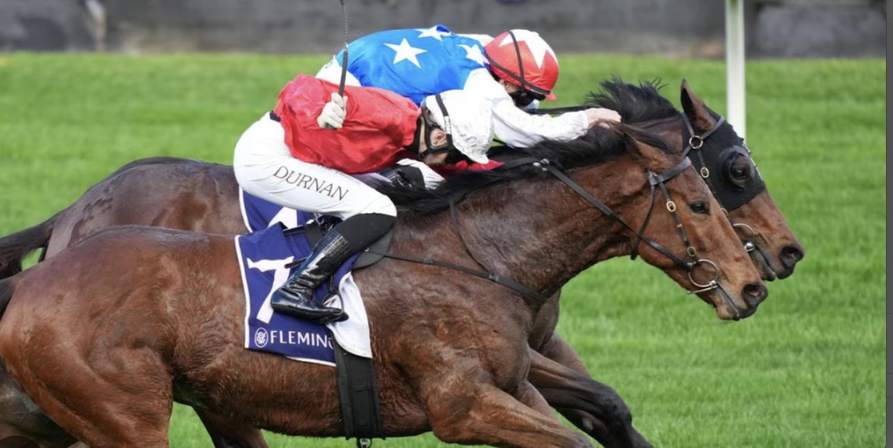 Two horses hit the line together in a driving head-to-head finish
